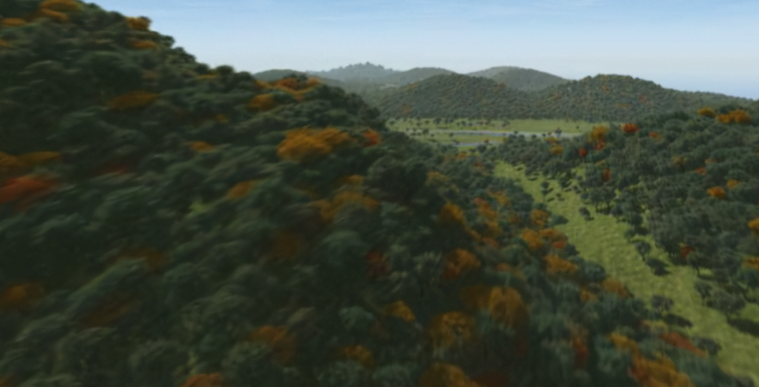 SCNY-Trees-Flyover.png