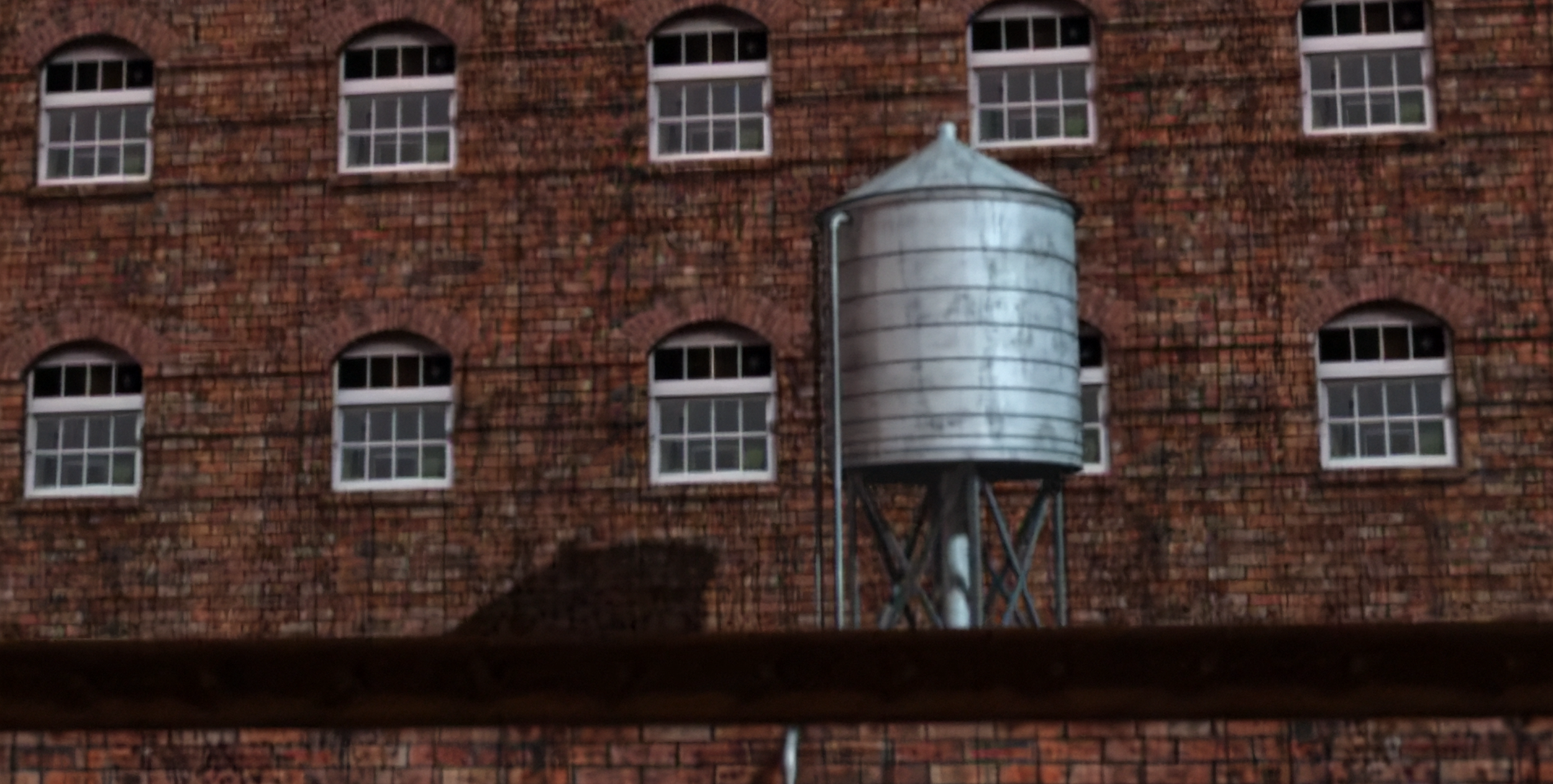 SCNY-Roof.png