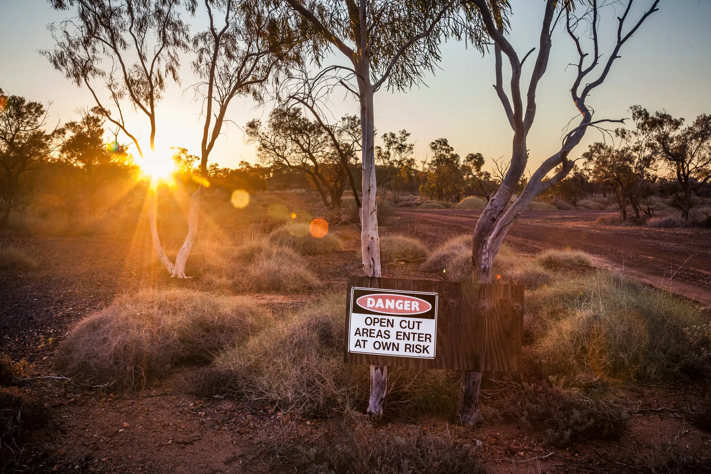 OPALMINDED -ThomasWielecki- 02.JPG