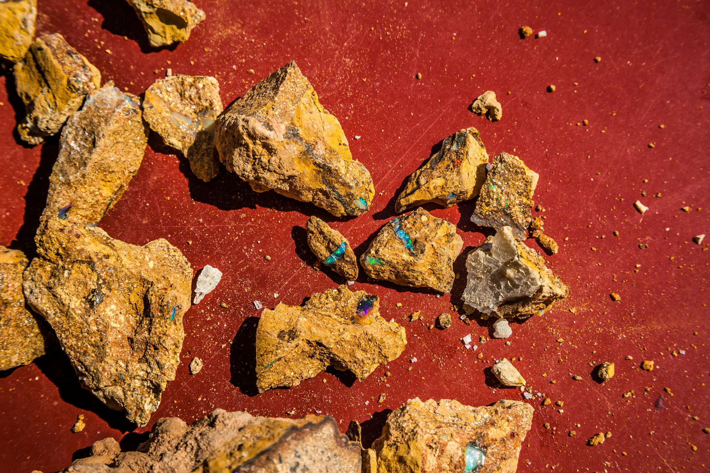 OPALMINDED -ThomasWielecki- 12.JPG