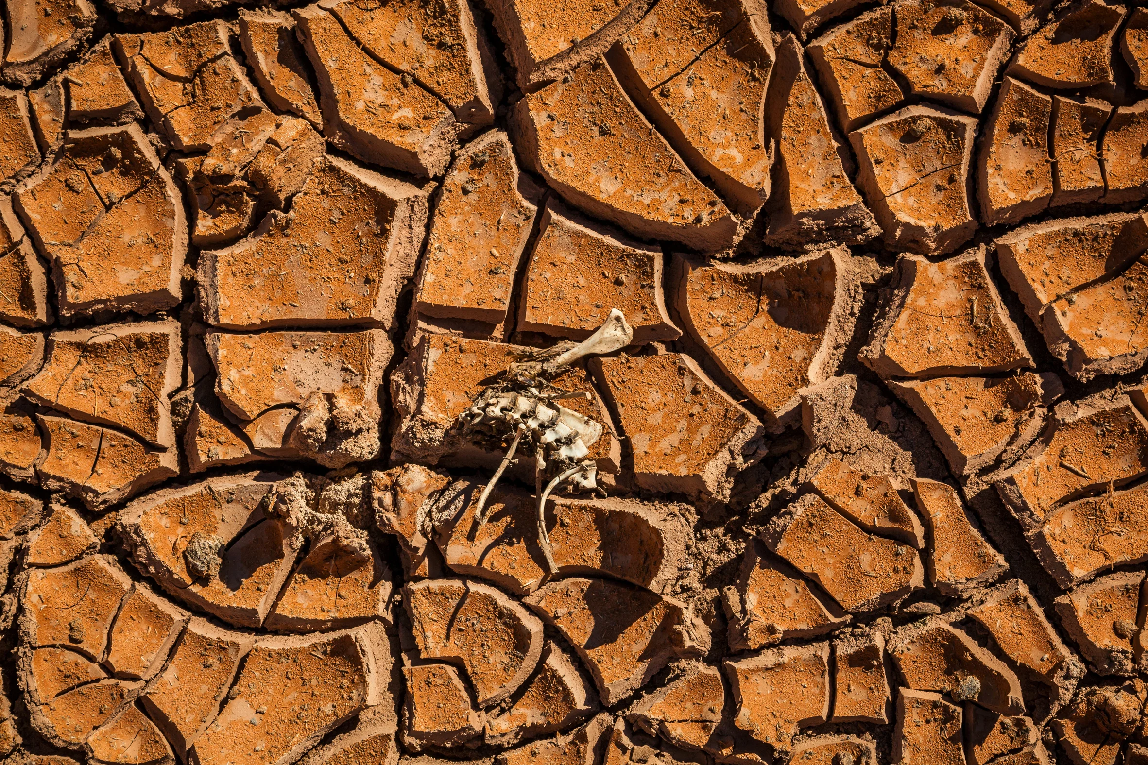 OPALMINDED -ThomasWielecki- 43.JPG