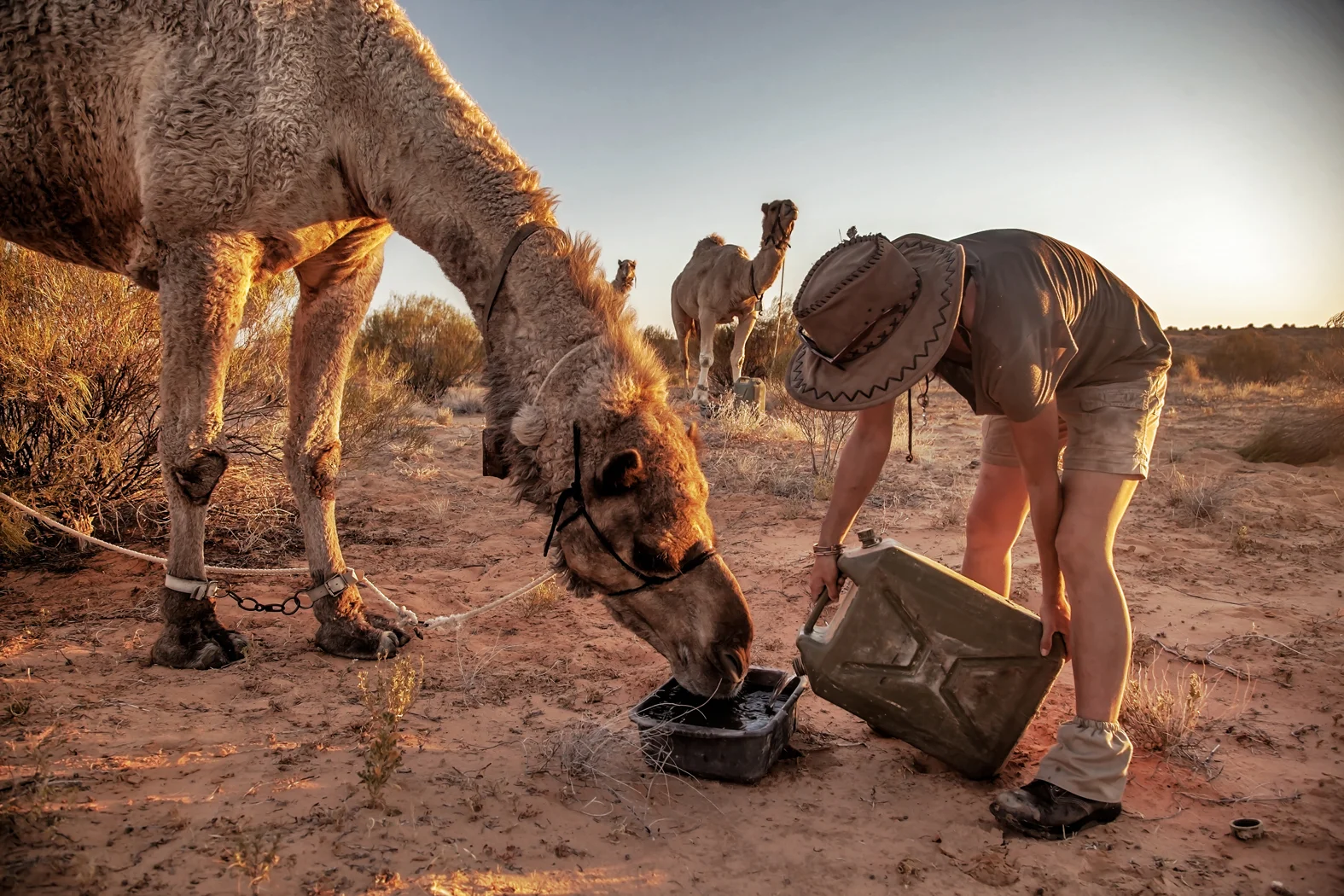 CAMEL TREK -ThomasWielecki- 013.JPG