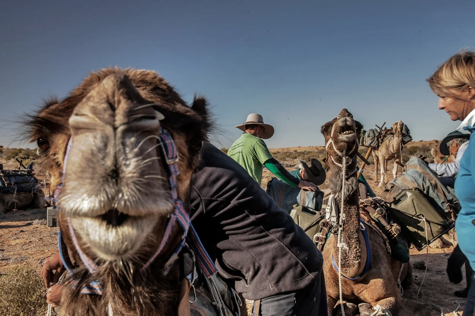 CAMEL TREK -ThomasWielecki- 016.JPG