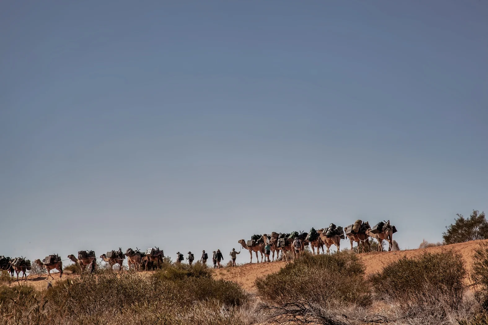 CAMEL TREK -ThomasWielecki- 029.JPG
