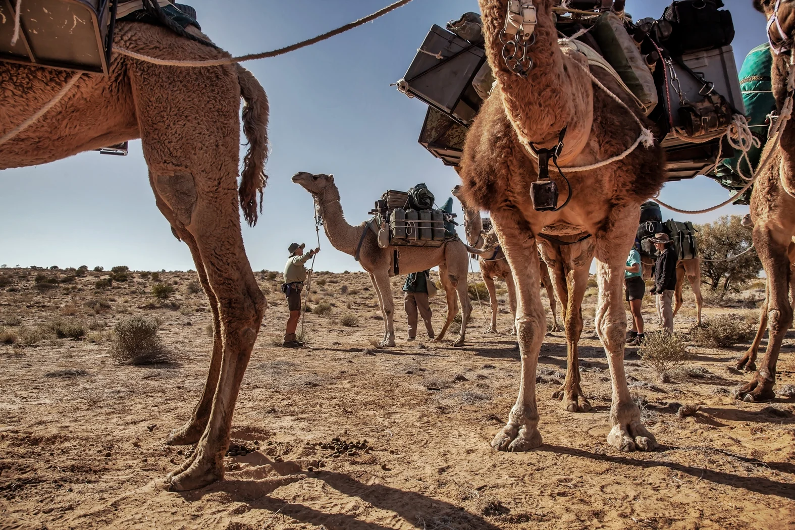CAMEL TREK -ThomasWielecki- 020.JPG
