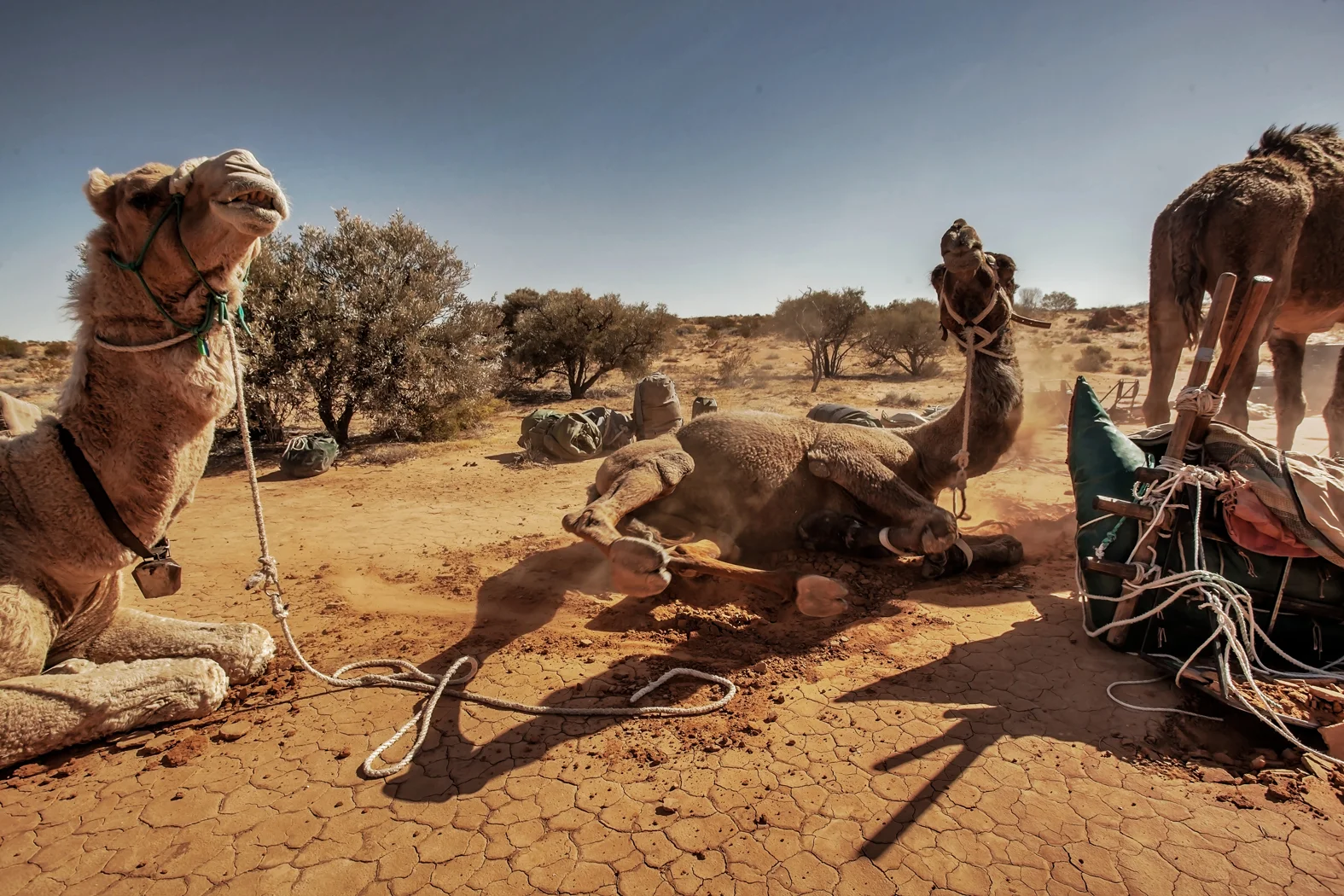 CAMEL TREK -ThomasWielecki- 071.JPG