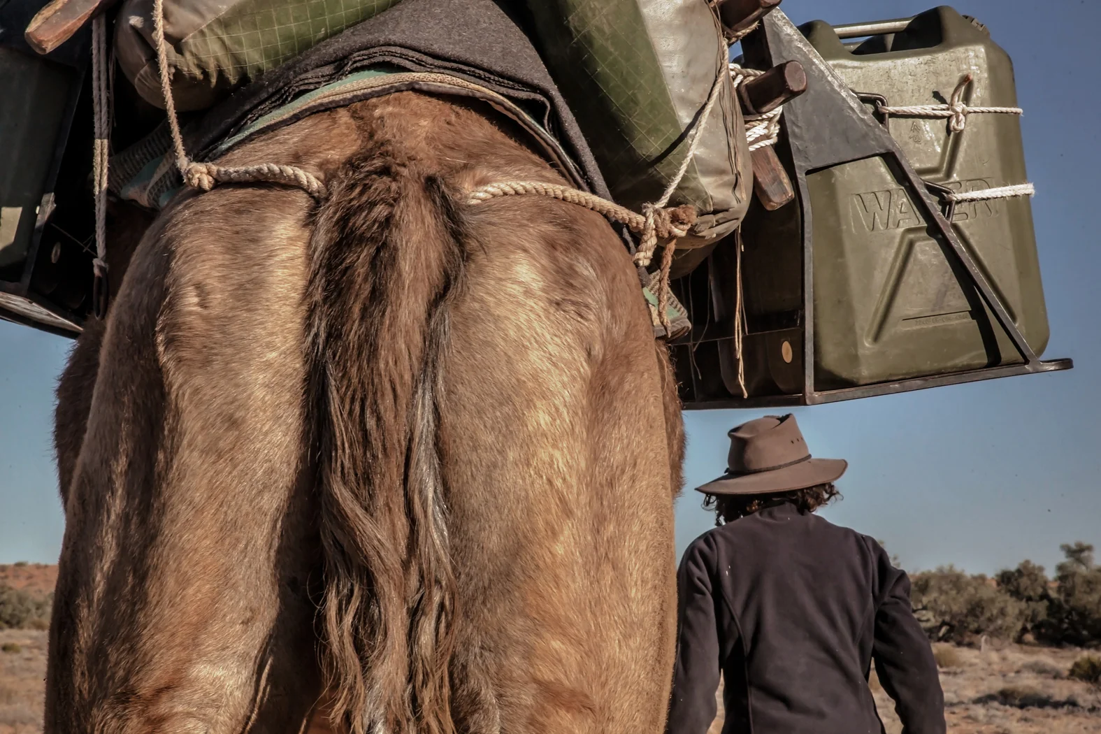 CAMEL TREK -ThomasWielecki- 096.JPG
