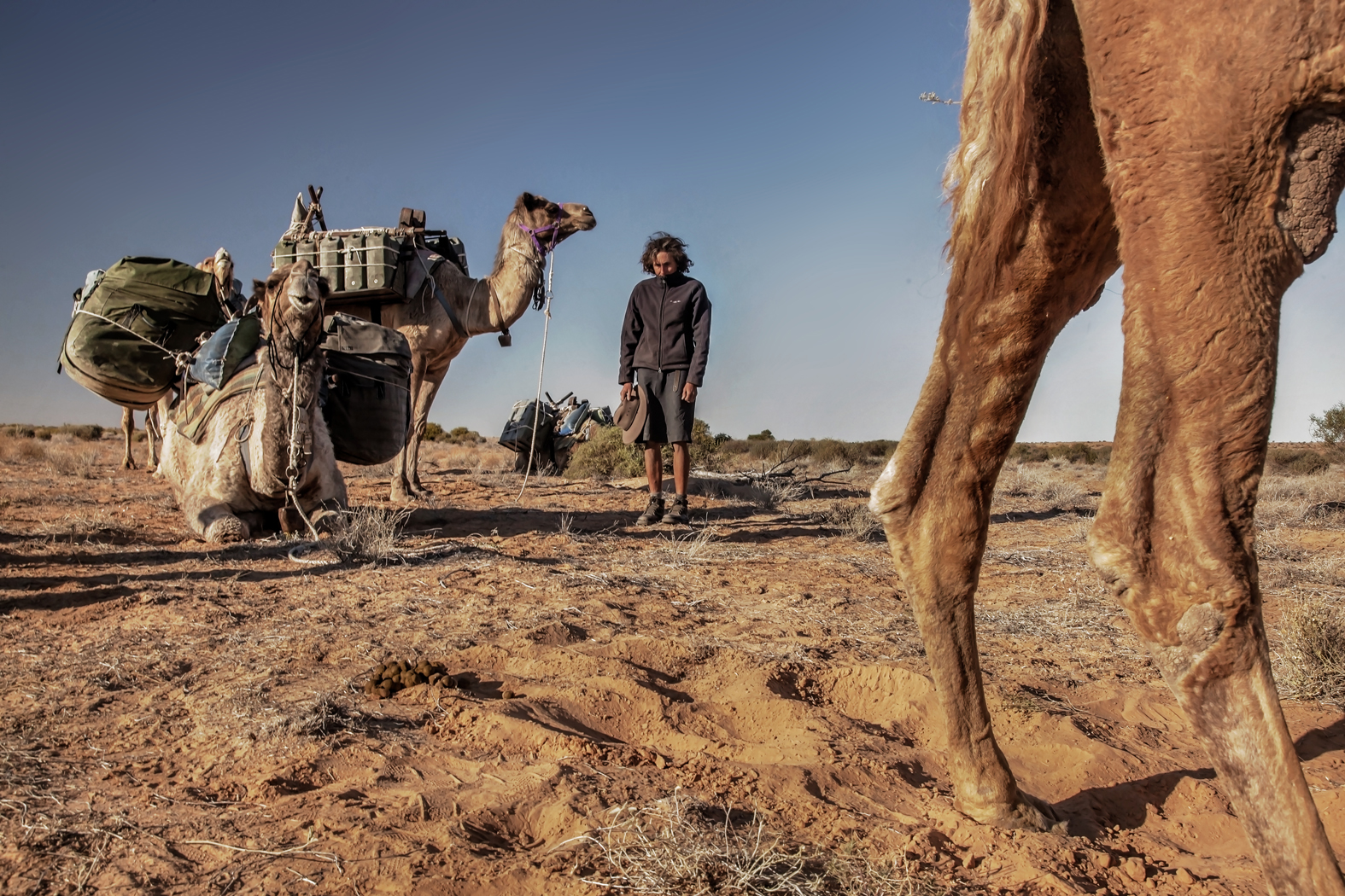 CAMEL TREK -ThomasWielecki- 100.JPG
