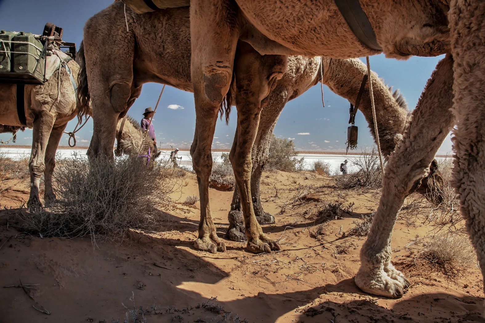 CAMEL TREK -ThomasWielecki- 114.JPG