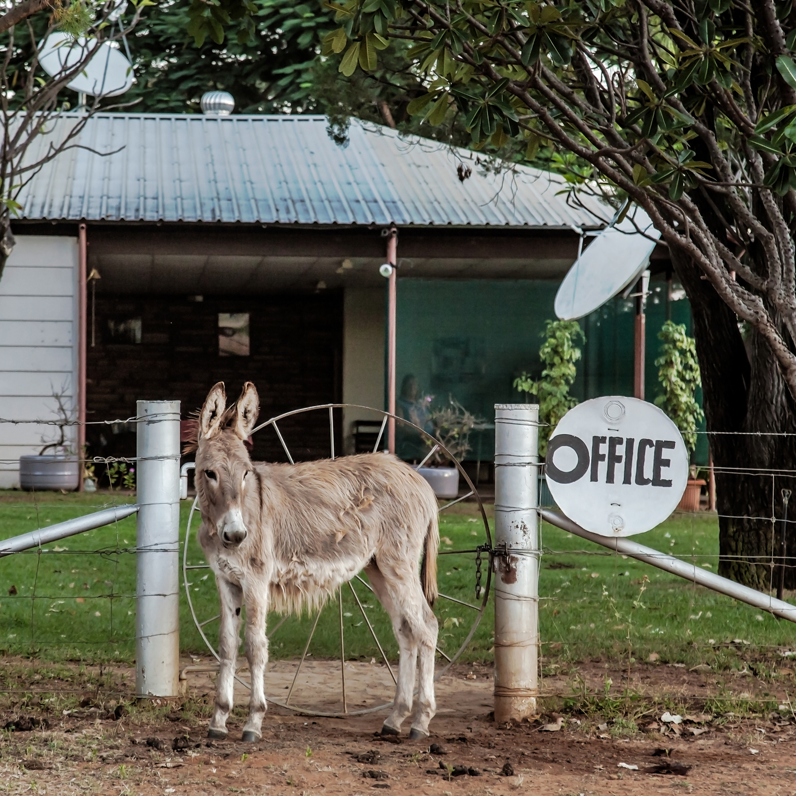GIBB RIVER RD -ThomasWielecki- 081.JPG