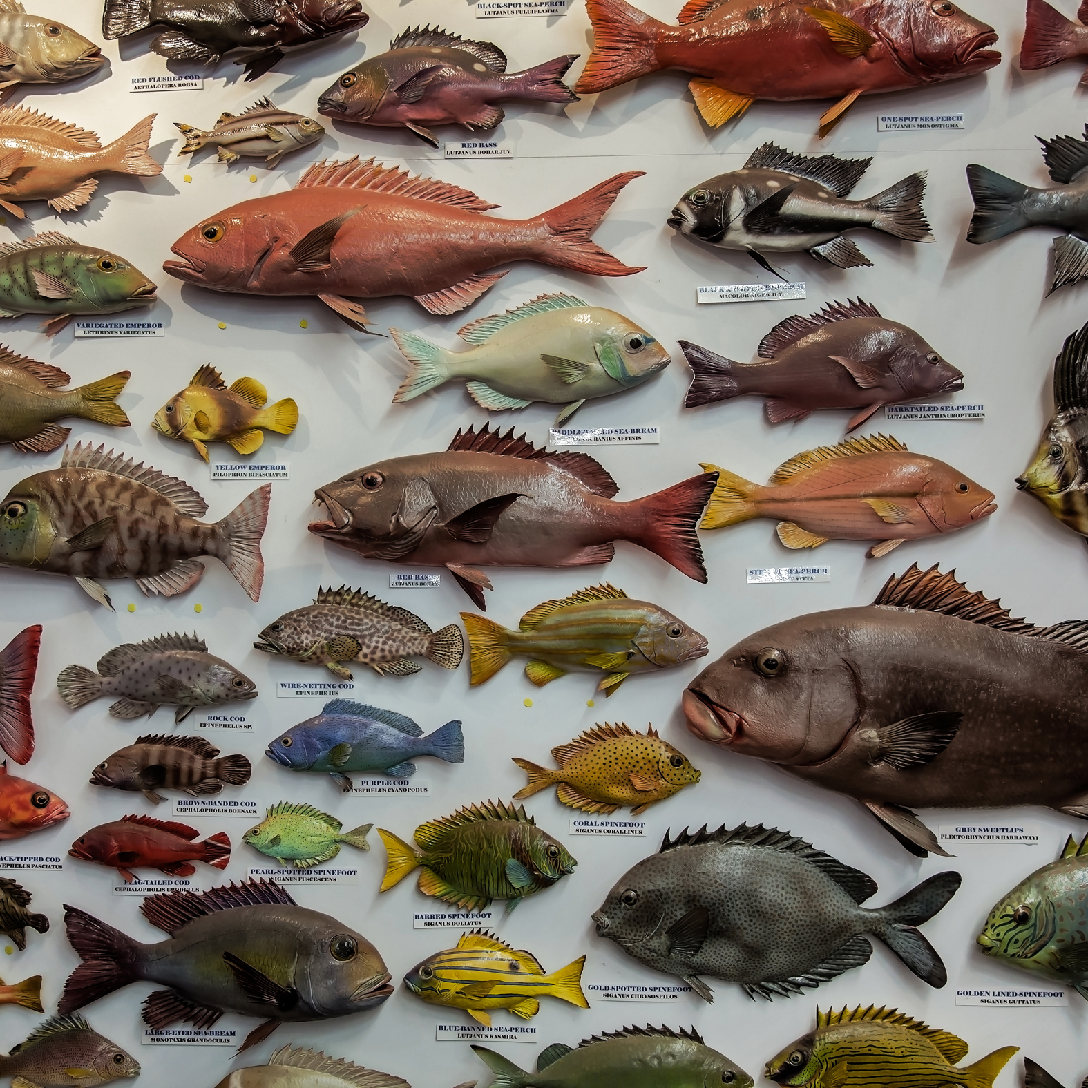 GIBB RIVER RD -ThomasWielecki- 168.JPG