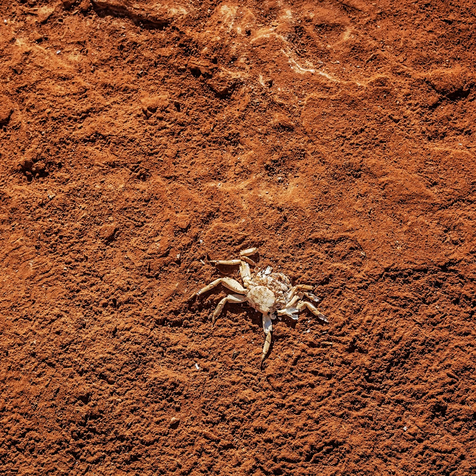 GIBB RIVER RD -ThomasWielecki- 184.JPG