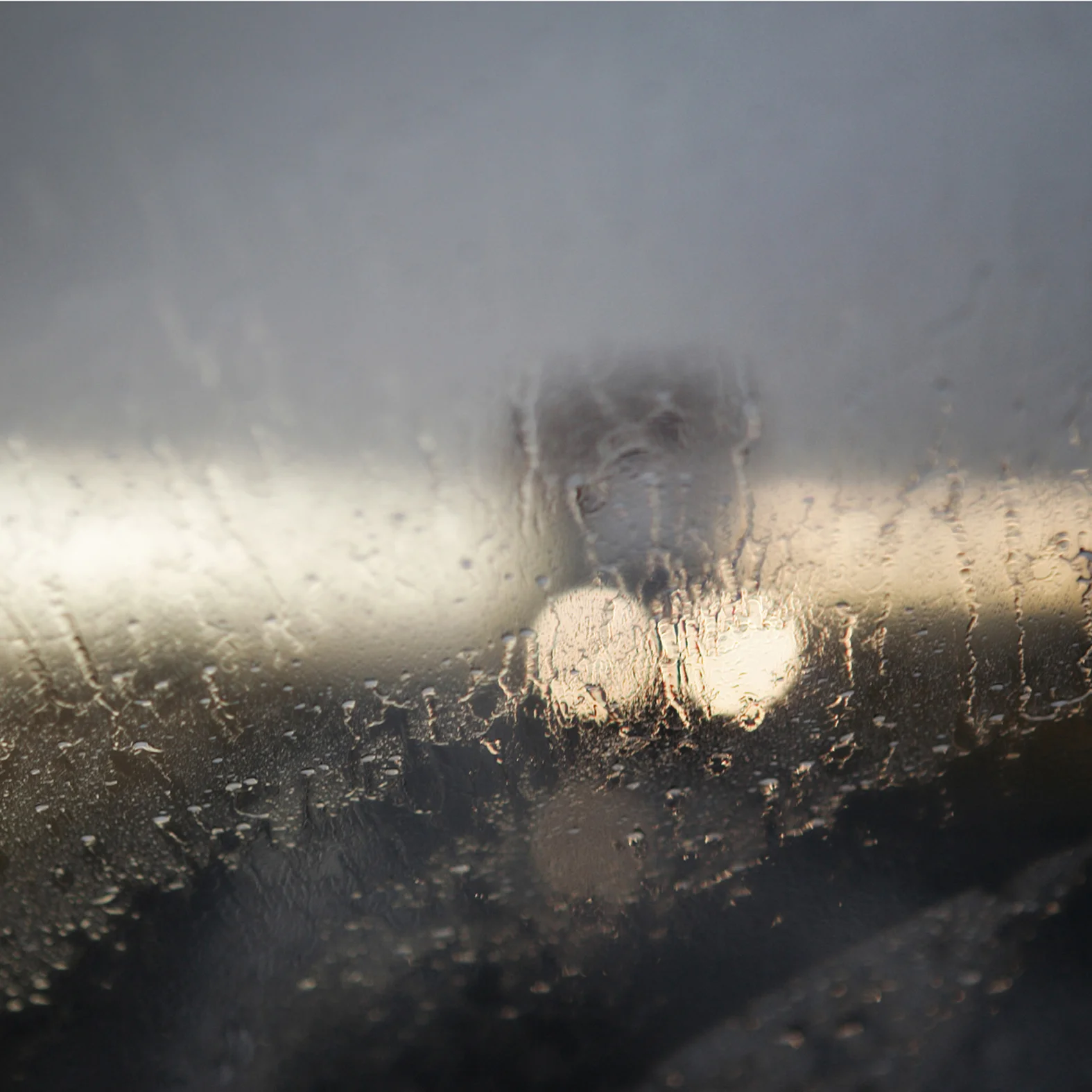 Glimpses 093.JPG