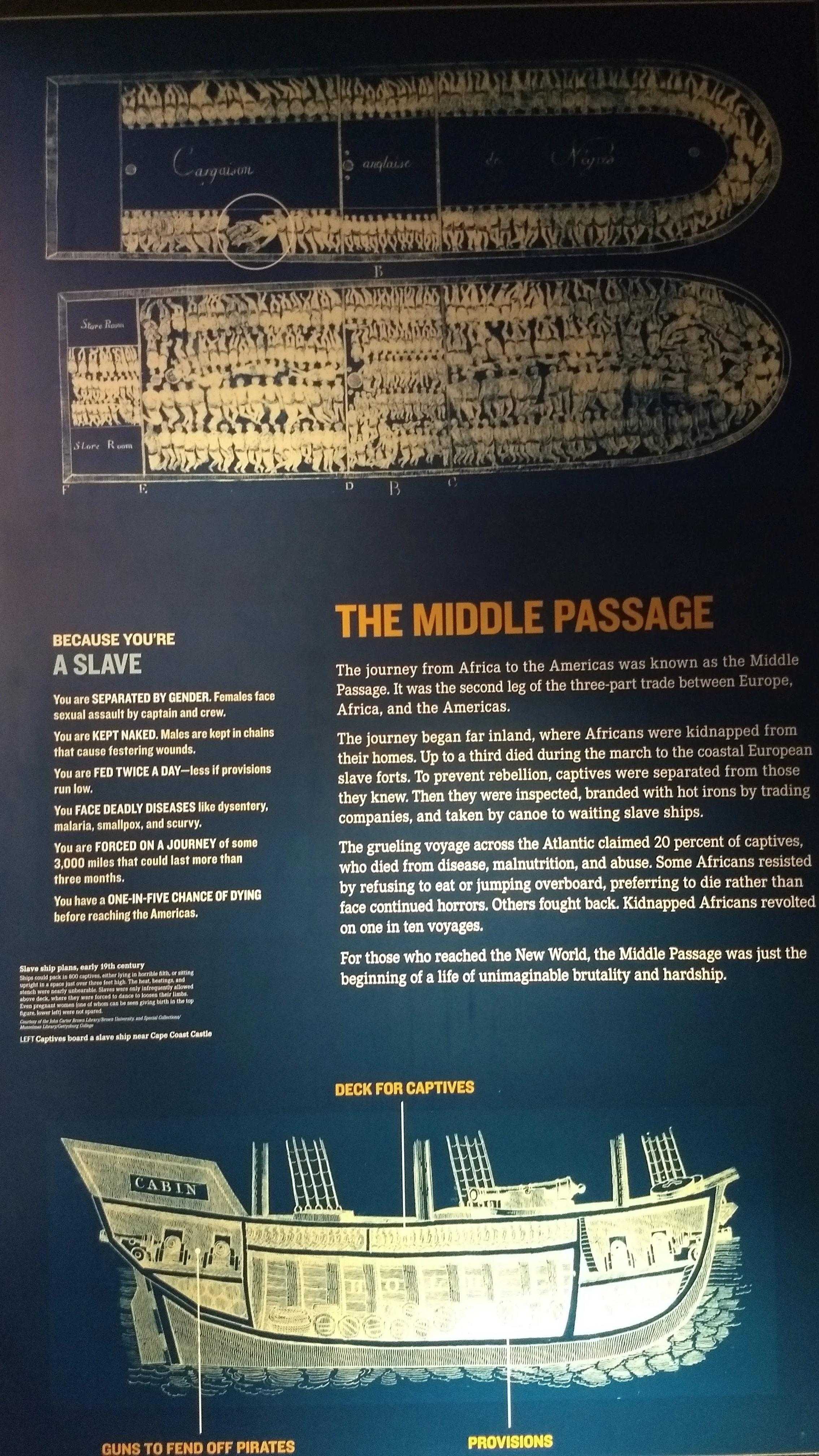 The Middle Passage