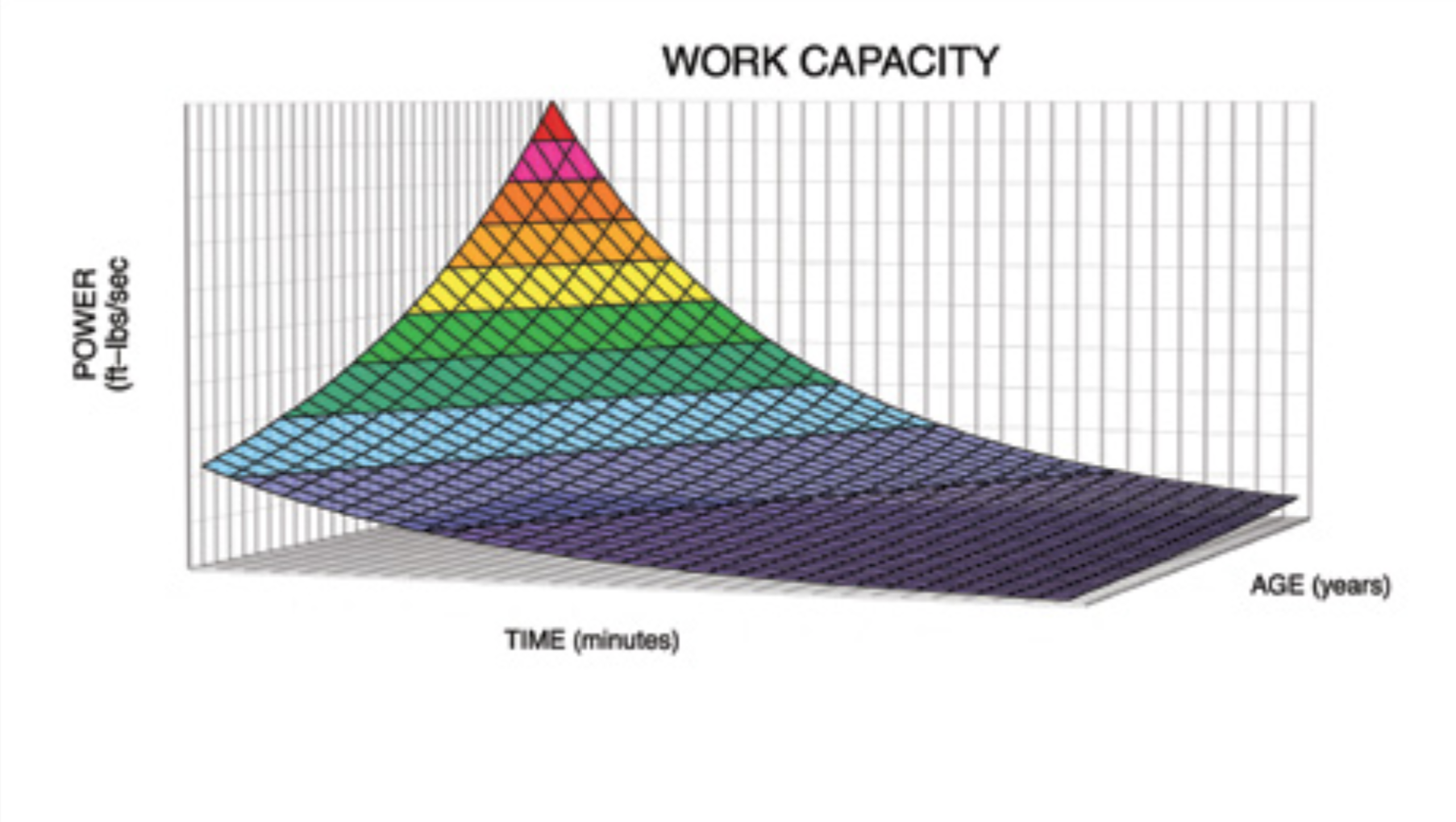 Figure 2. (from The CrossFit Training Guide)