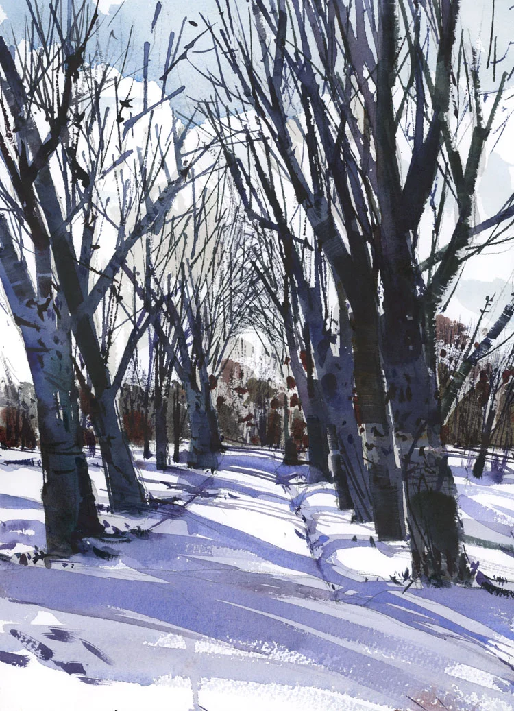 WinterTexture.jpg
