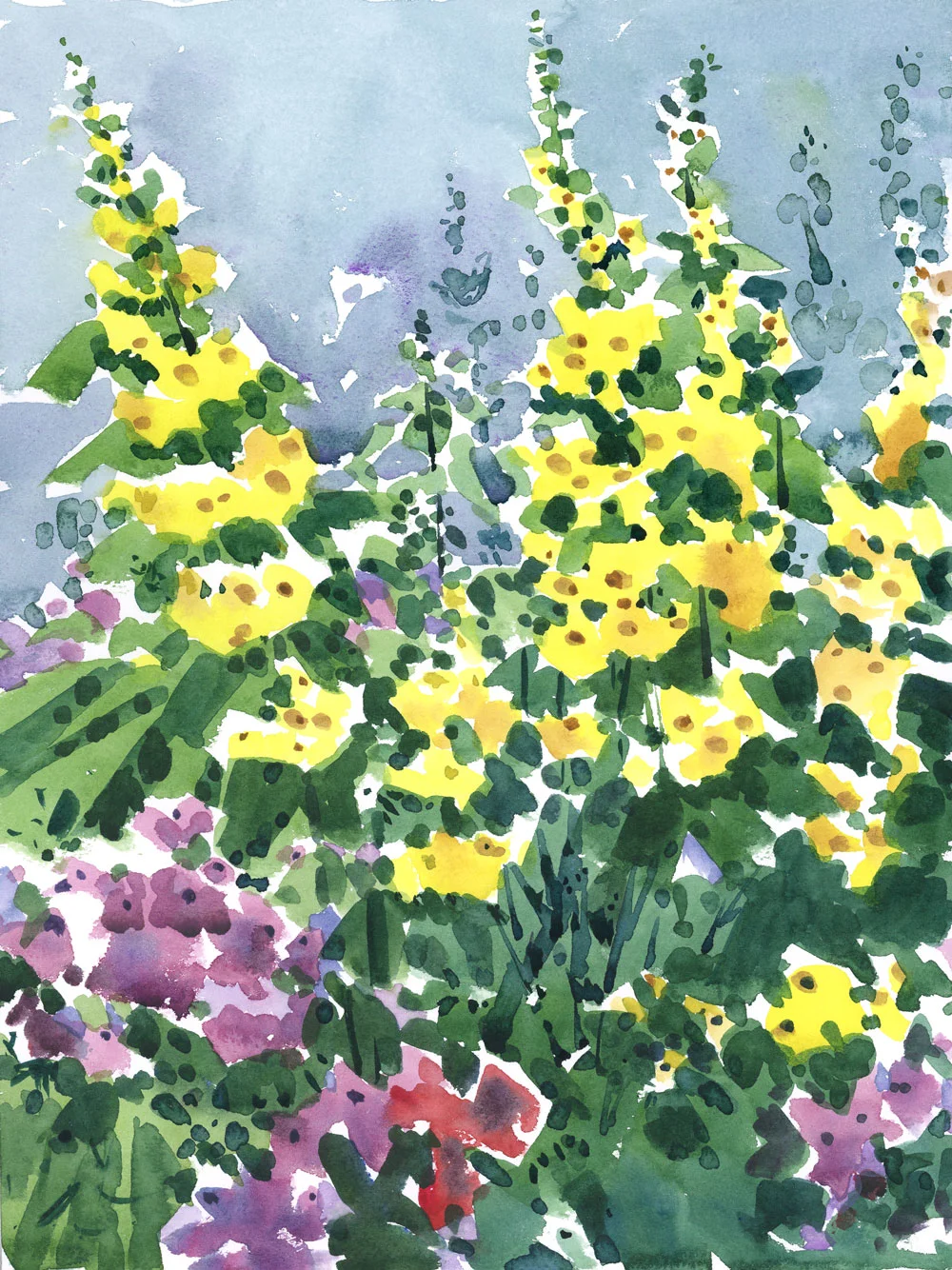 YellowLoosestrife.jpg