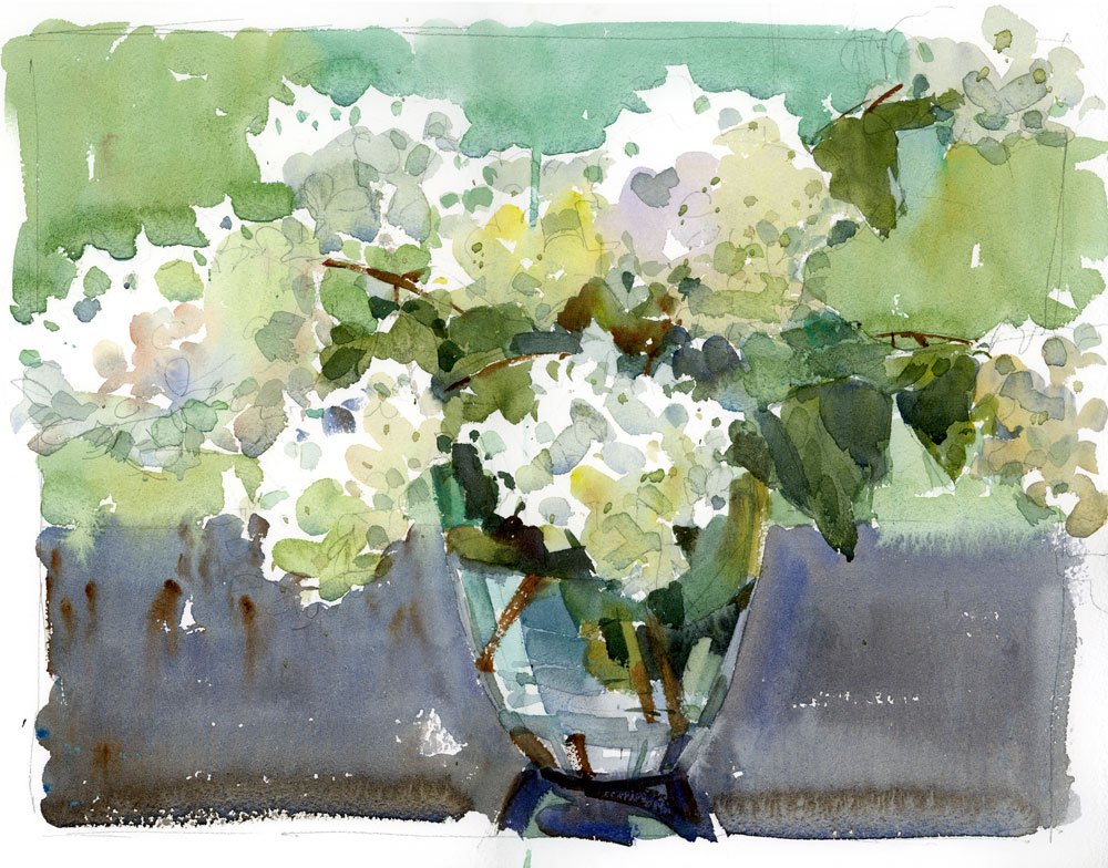 Hydrangea.jpg