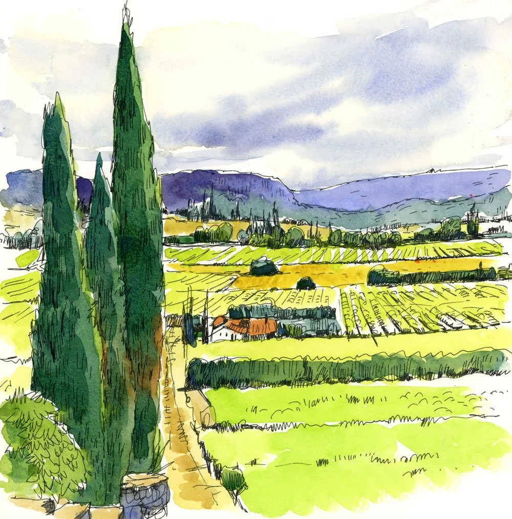 Provence_VineyardView.jpg