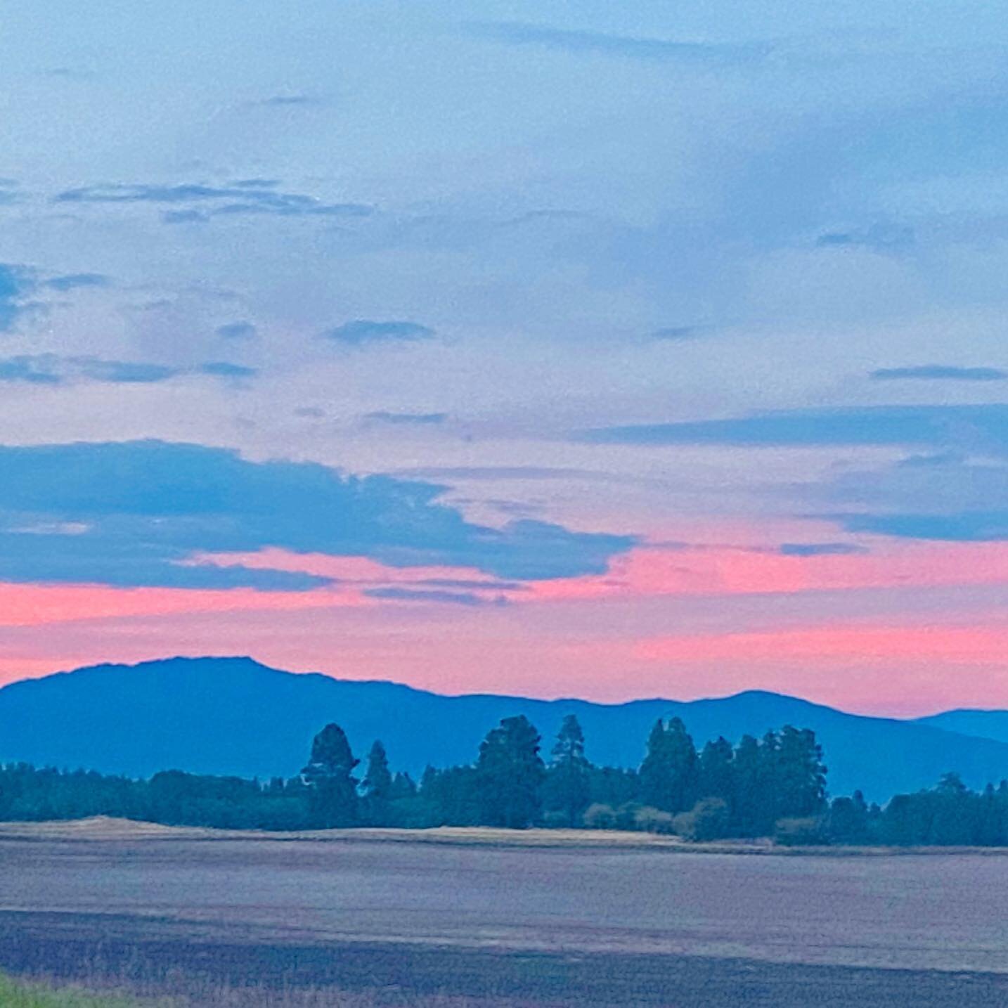 O beautiful for spacious skies,
For amber waves of grain,
For purple mountain majesties
Above the fruited plain!
America! America!
God shed His grace on thee
And crown thy good with brotherhood....

#vote2020