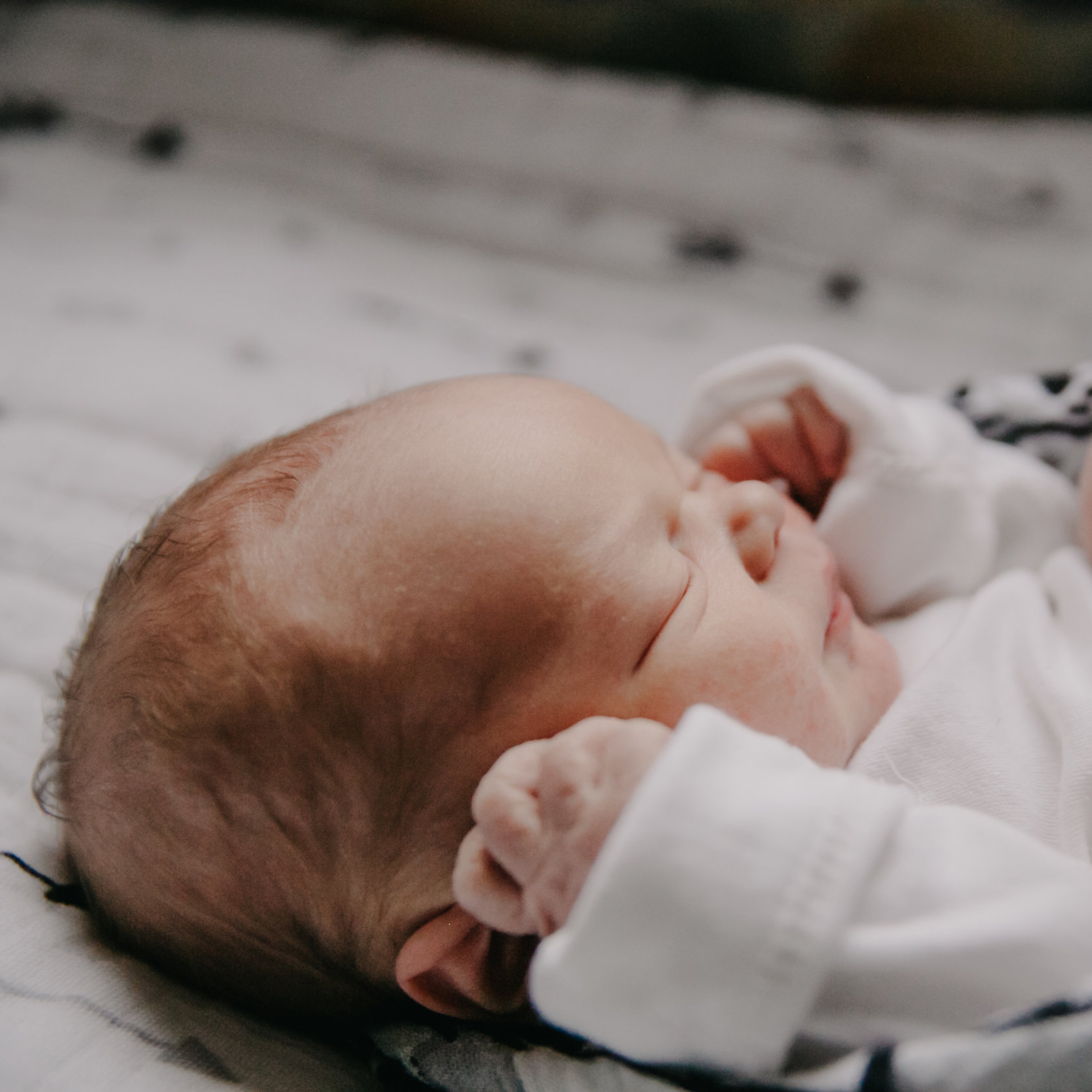 Introducing... my son!