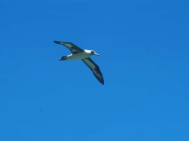 photo 01.jpg