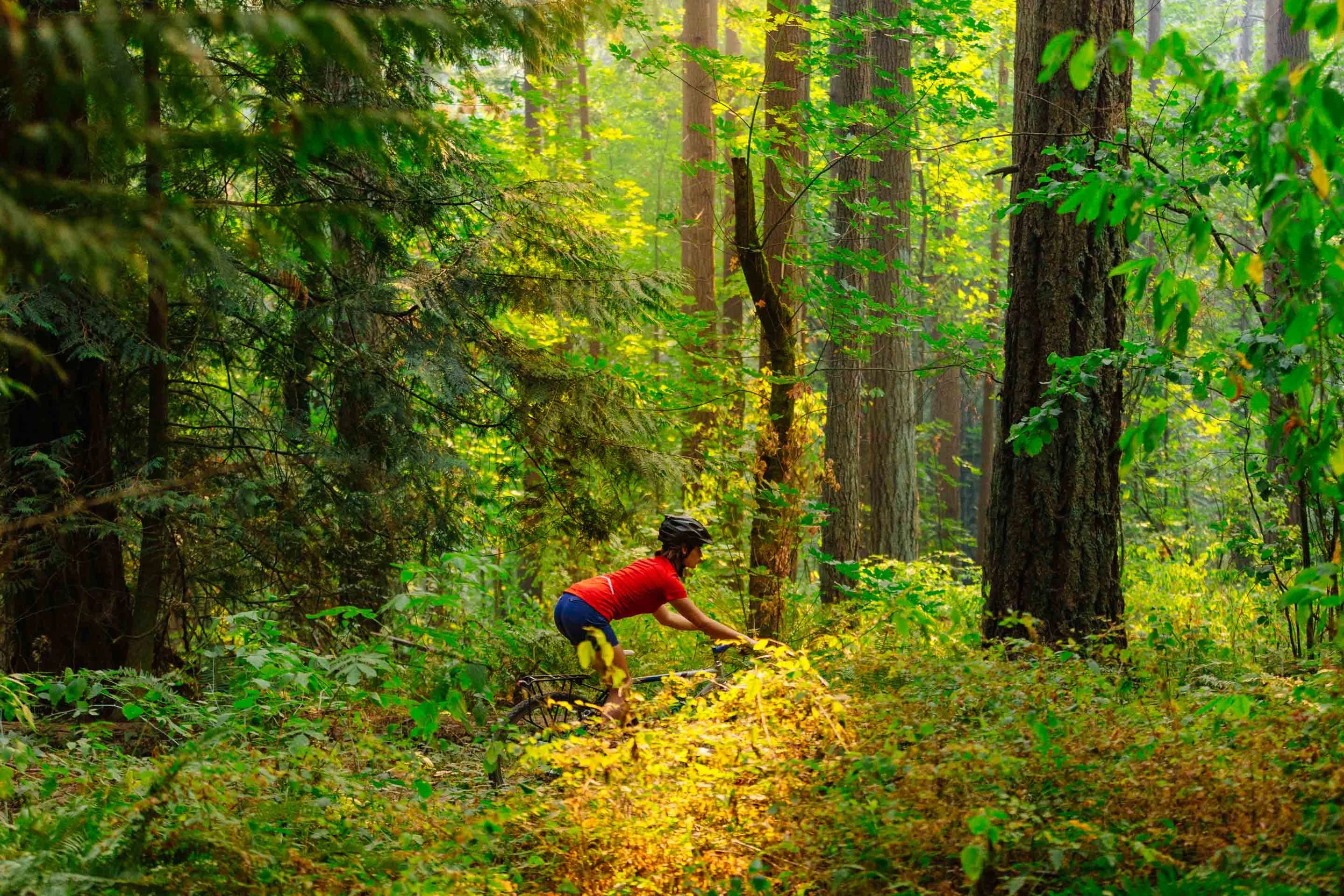 gritchelle-photography-red-in-the-forest-1.jpg