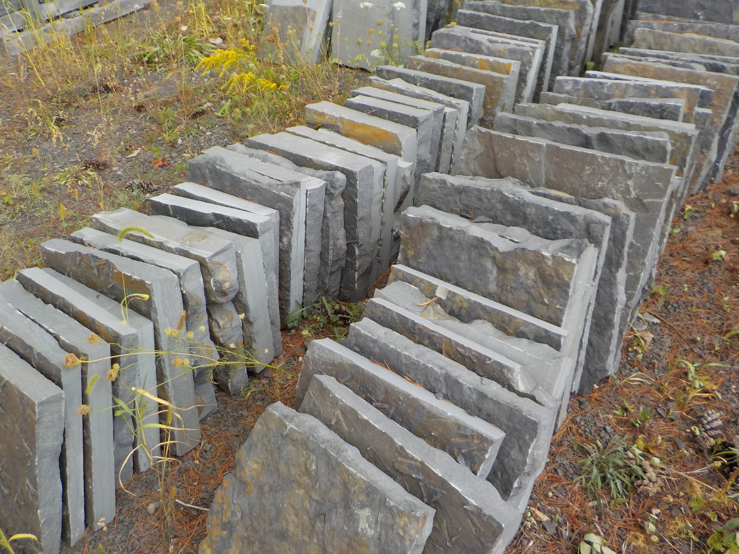 1-Alcove Stepping Stones.JPG