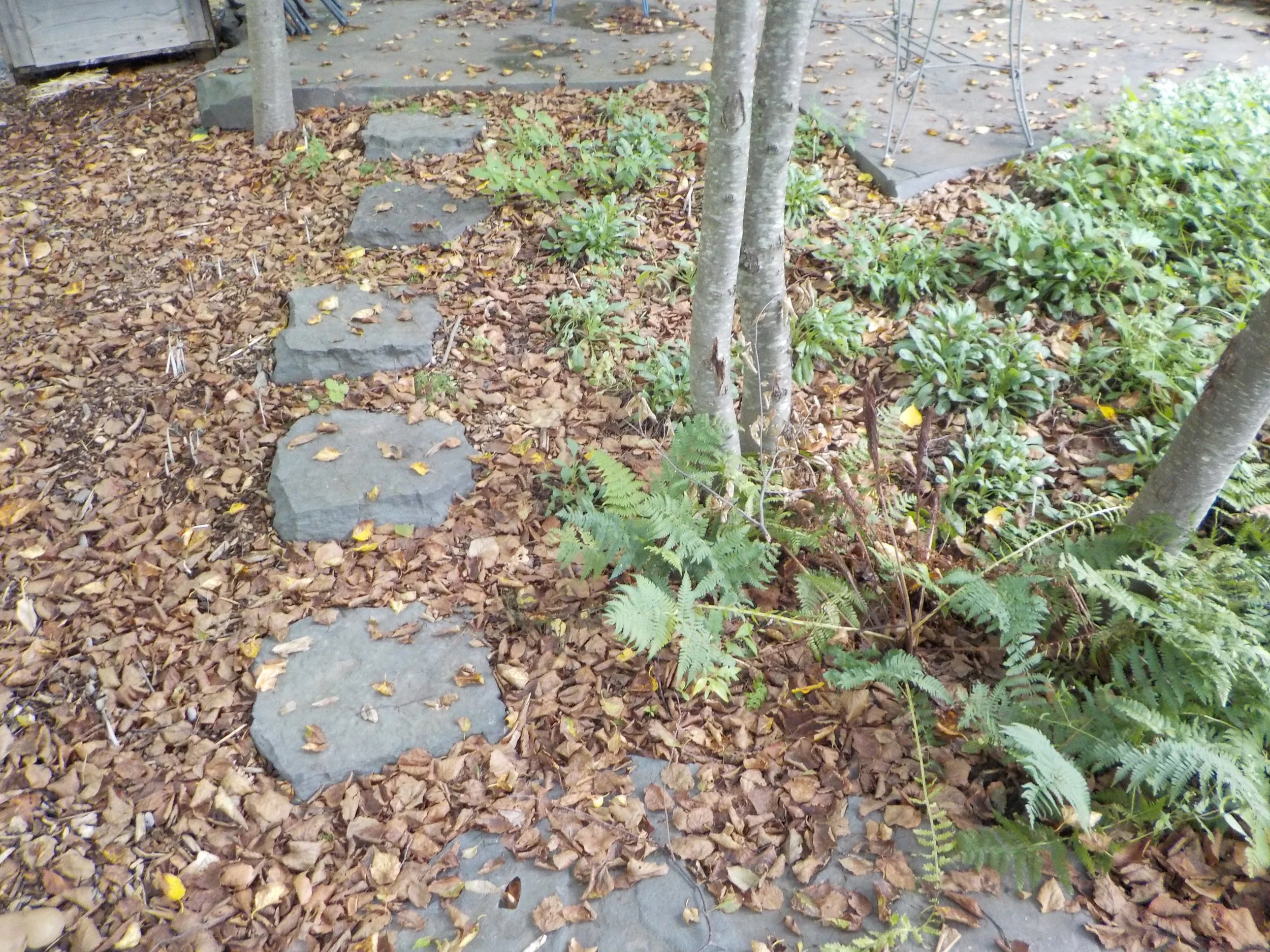 2-Alcove Stepping Stones.JPG