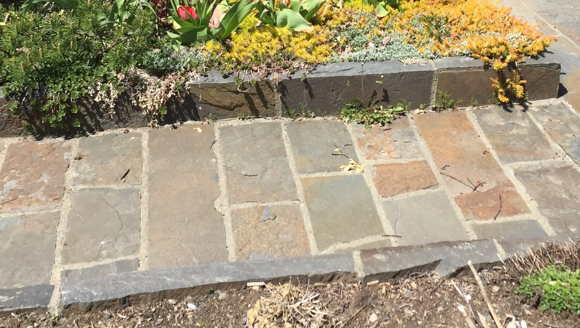 2-Mossy Hill Pavers.JPG