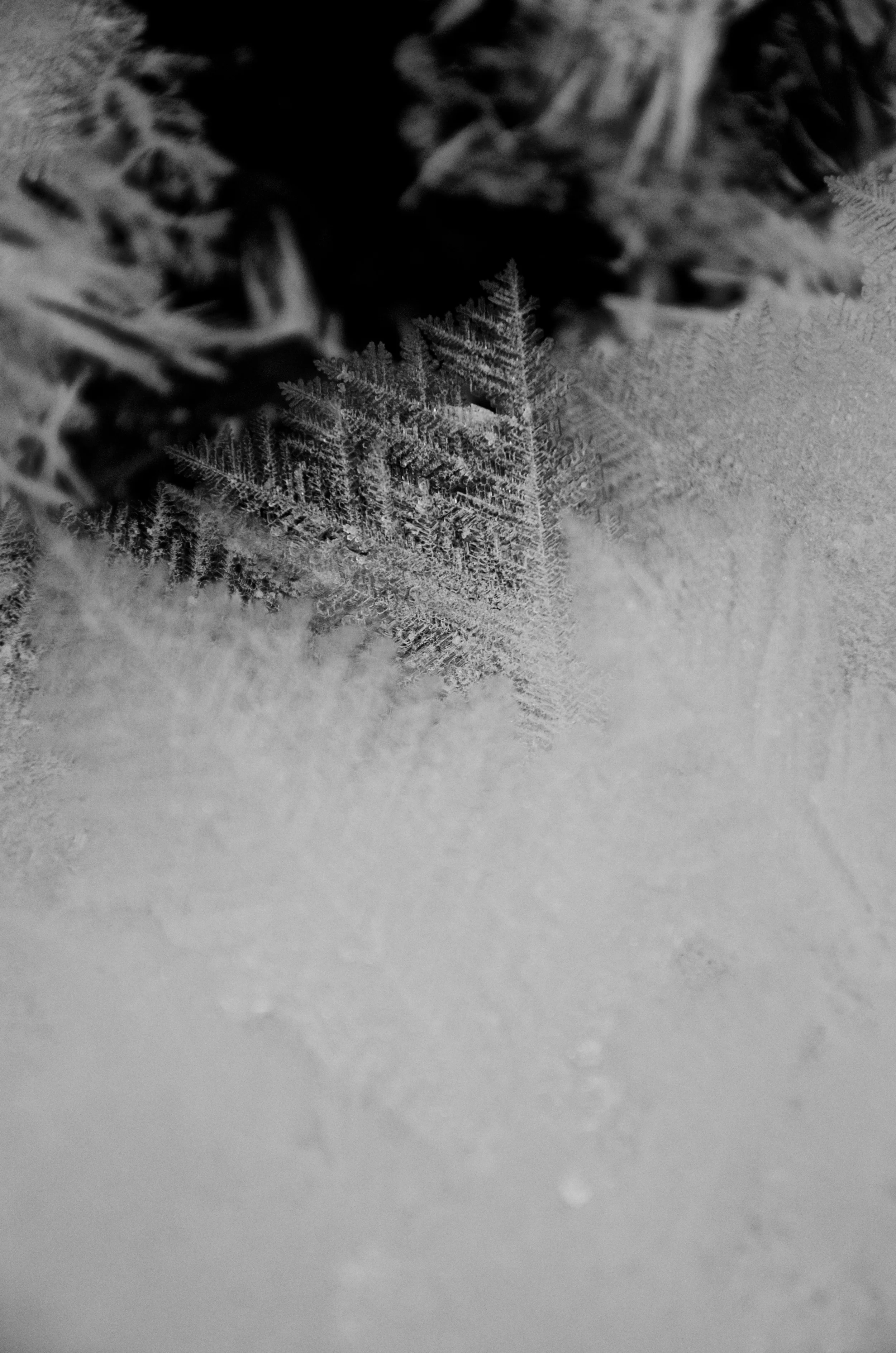 DSC_5476.jpg