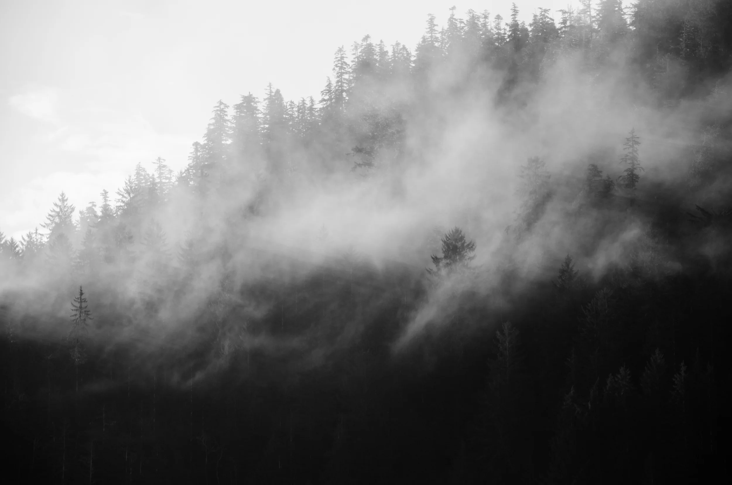 DSC_7964.jpg