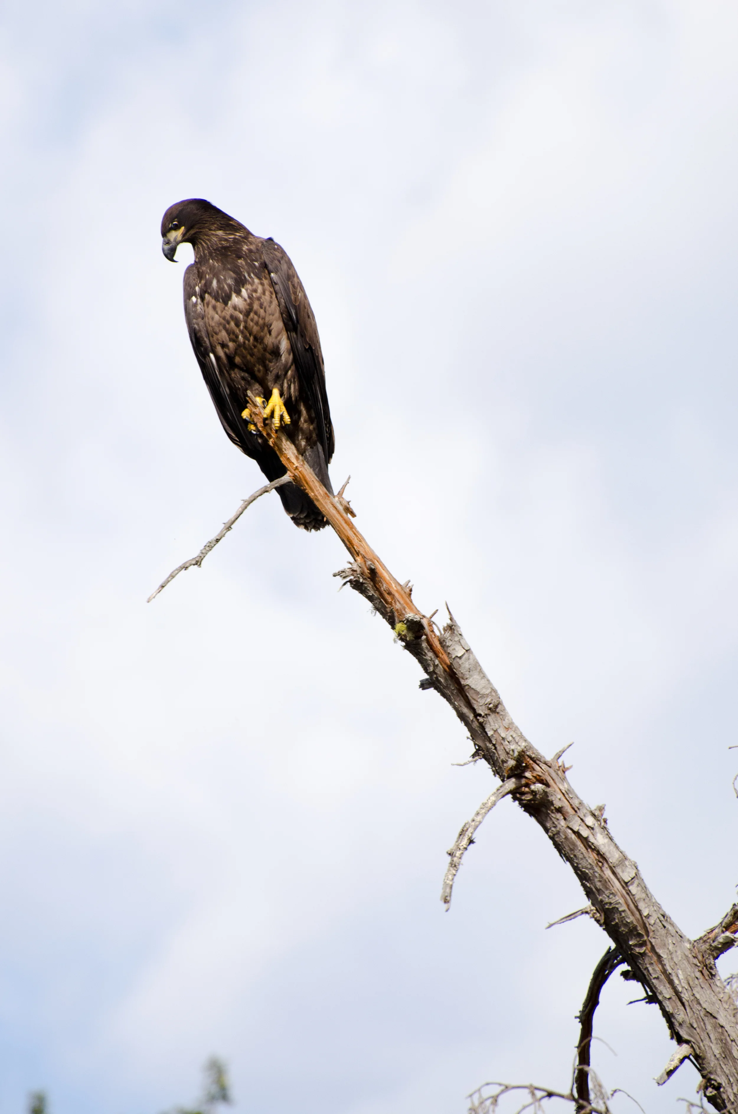 DSC_0815.jpg