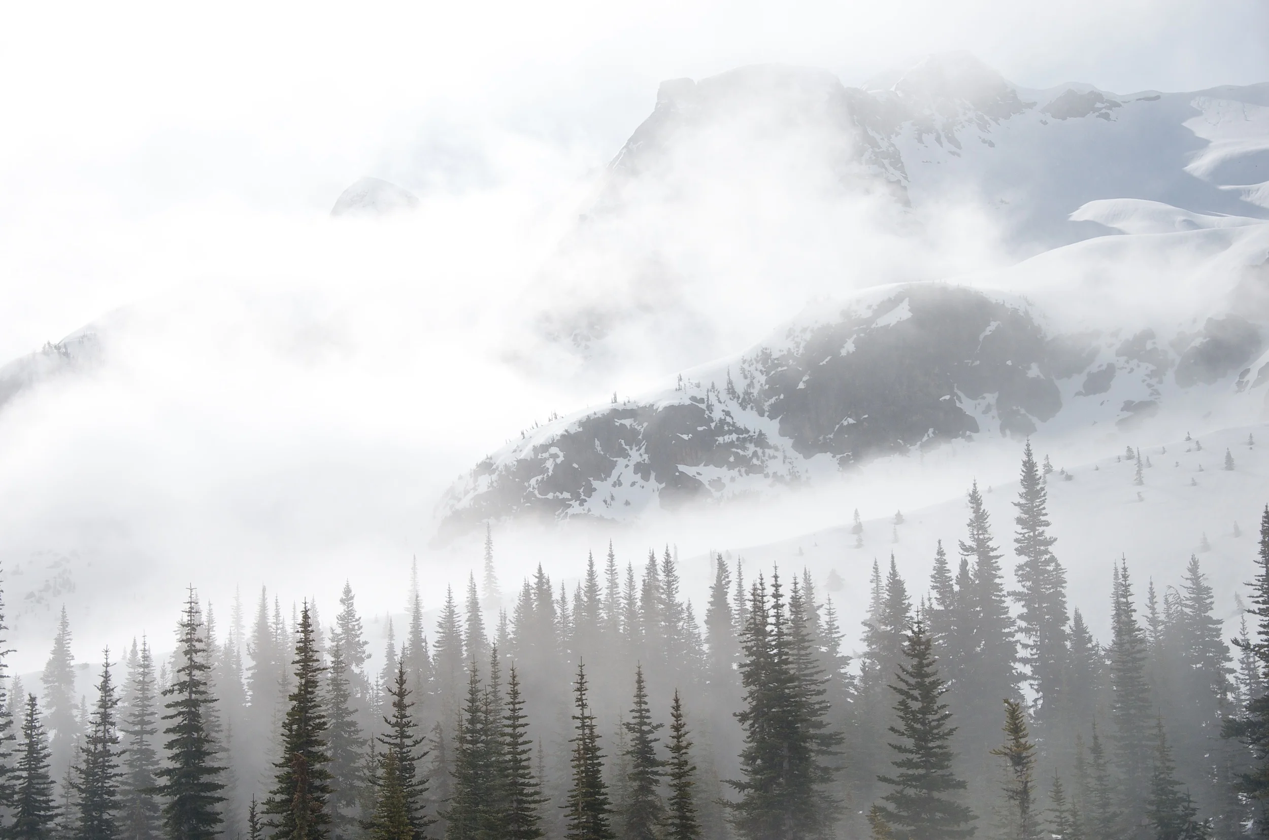 Morning near the Misty Icefields.