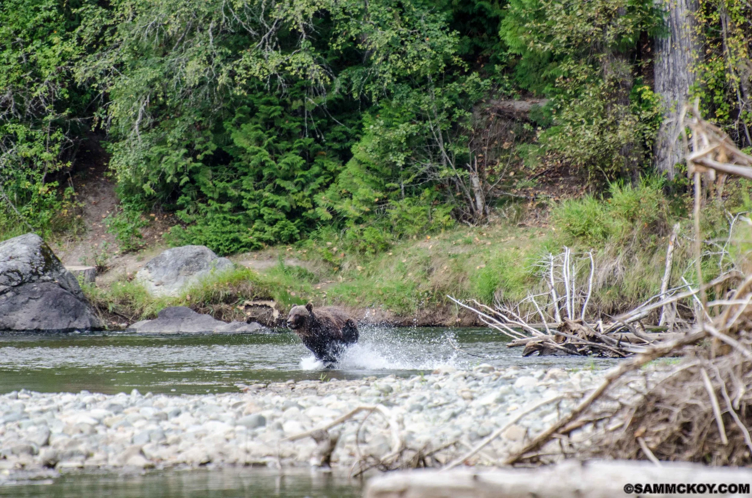 DSC_9385.jpg