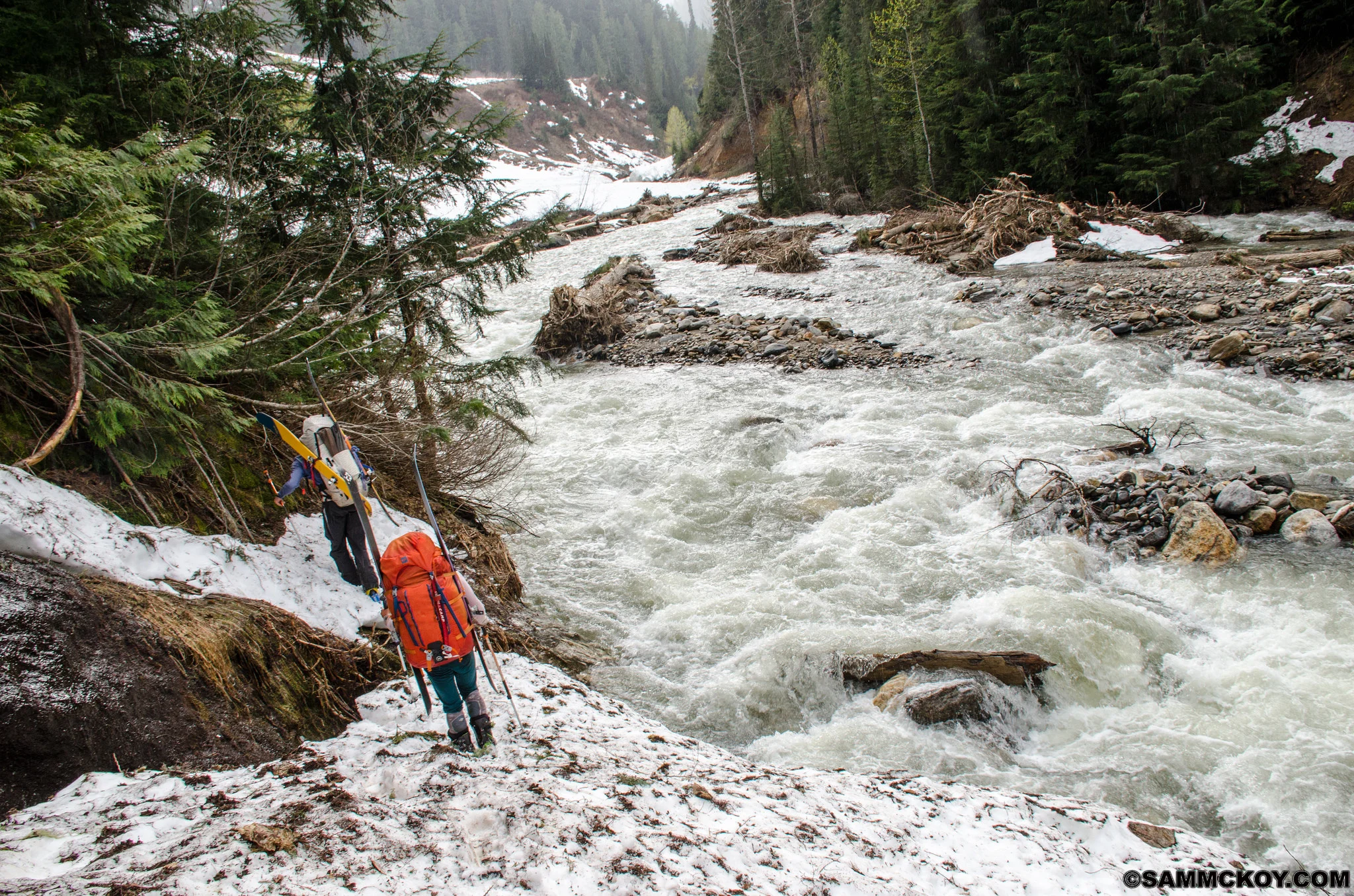 Following along the steep and bushy banks of Windy Creek. 