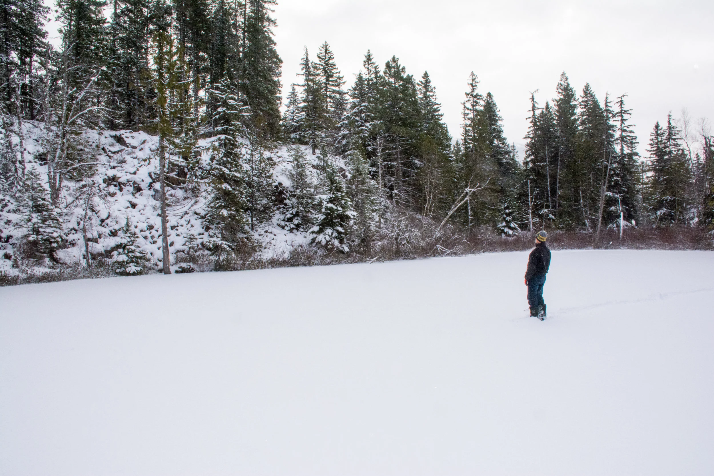 My dad taking in the scene of yellow cedars and deep solid ice at Swim Lake nestled in the ancient lava flows of Brandywine Falls Provincial Park