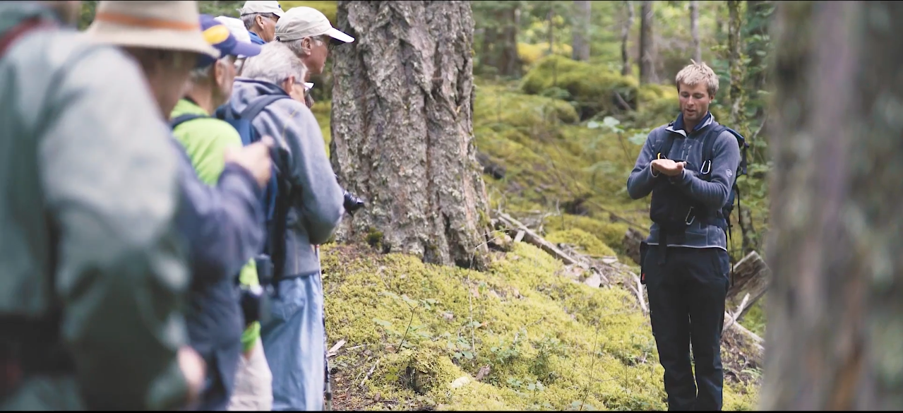 My work at Tweedsmuir Park Lodge involves explaining the ecosystem that supports grizzly bears. Screenshot from Big Journey Company video. 
