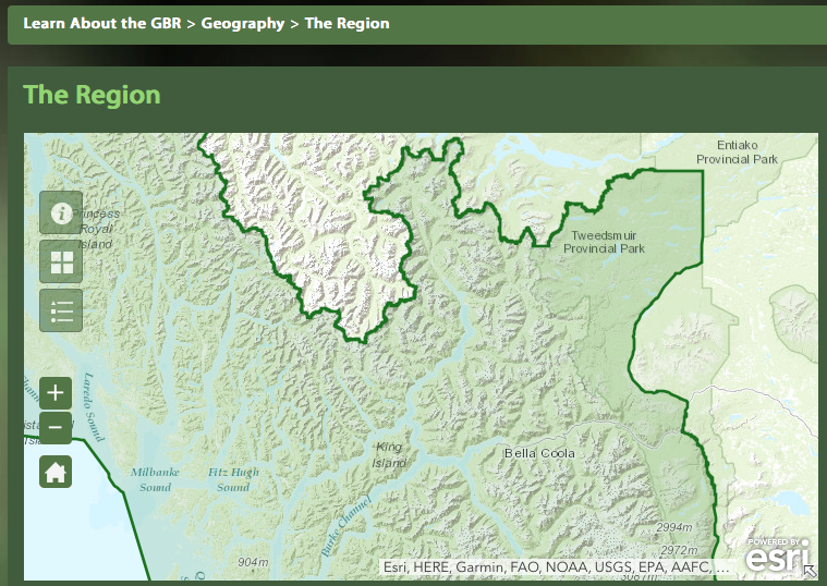 Though the Bella Coola area is clearly in the outlined region of the Great Bear Rainforest, it will not receive the full ban on grizzly hunting such as elsewhere in the GBR.