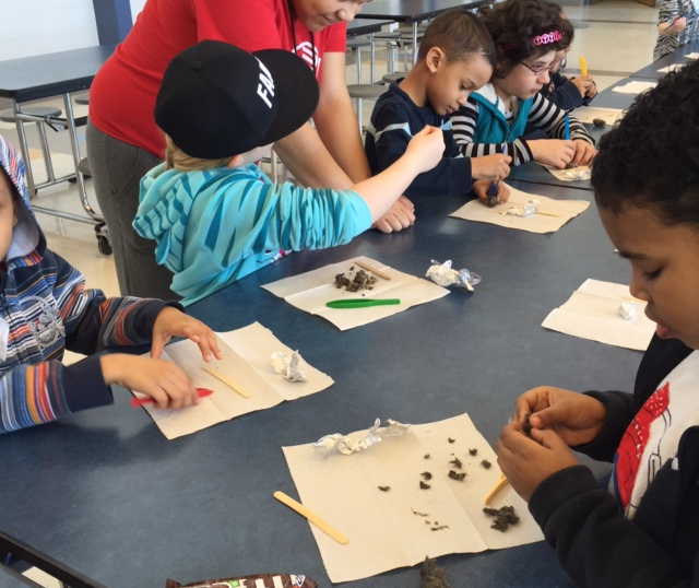 DISSECTING OWL PELLETS AND RECONSTRUCTING SKELETONs OF PREY