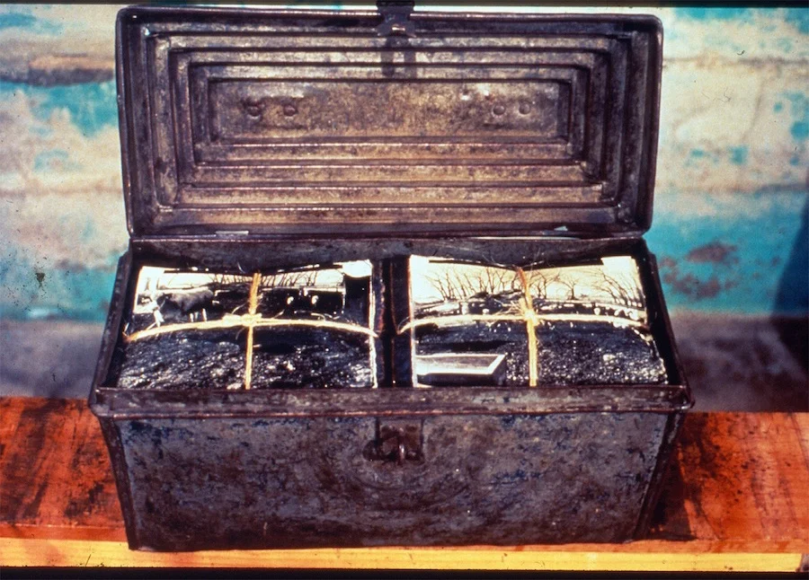 2 Cow Bundles in Tin Box