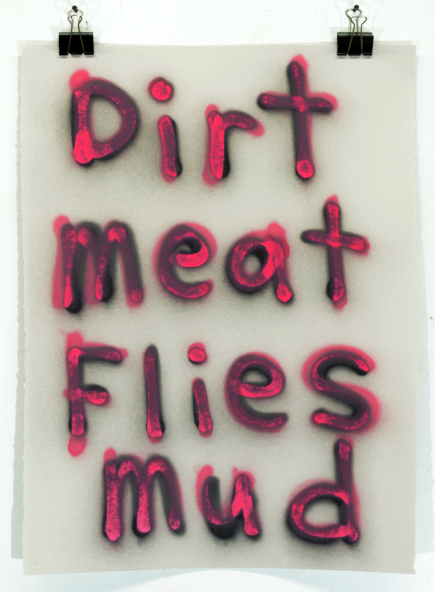 Dirt Meat Flies Mud