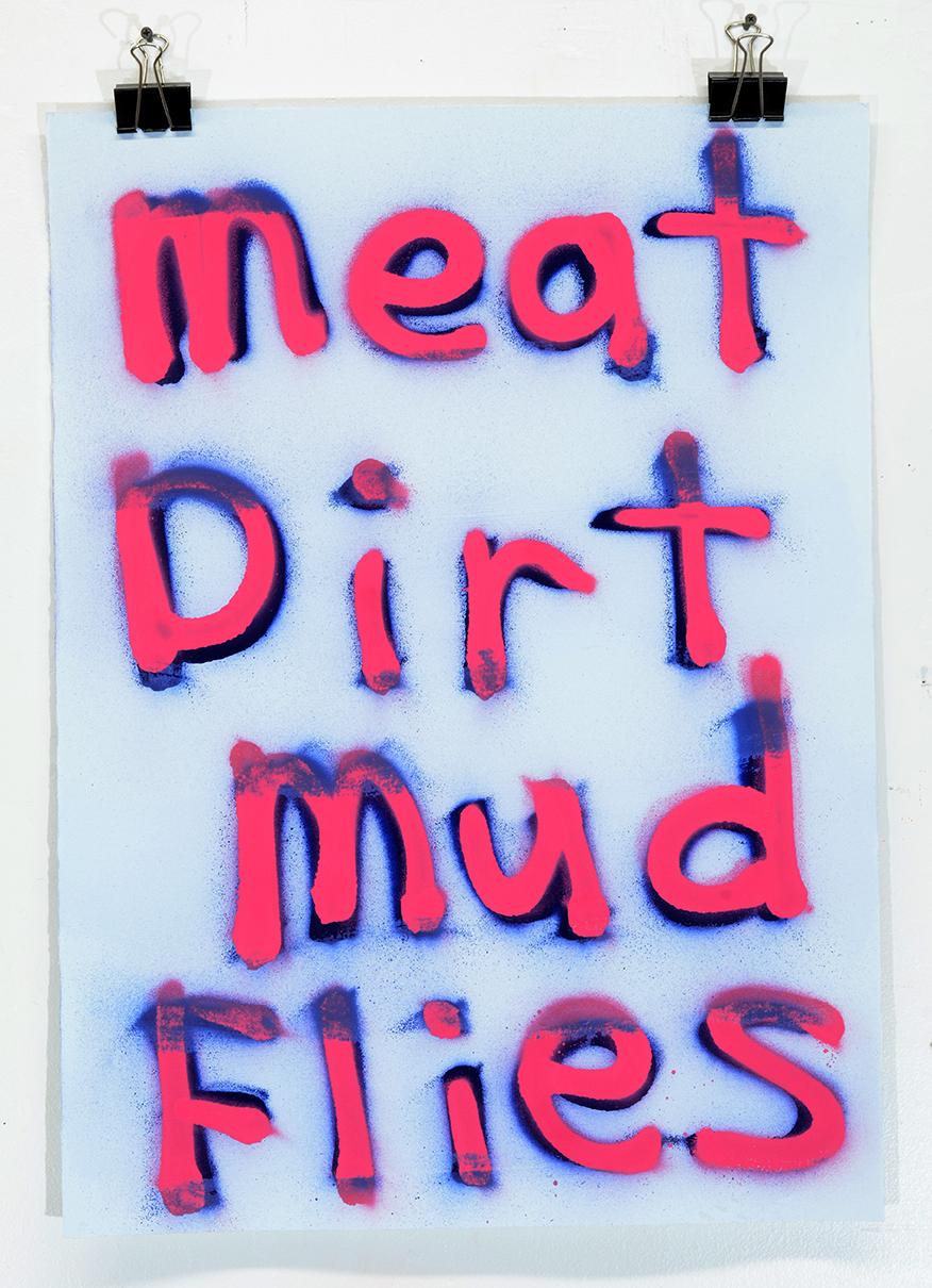 Meat Dirt Mud Flies