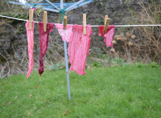 * Fruit dyed fabric by Aneira Davies PC: seamwork.com