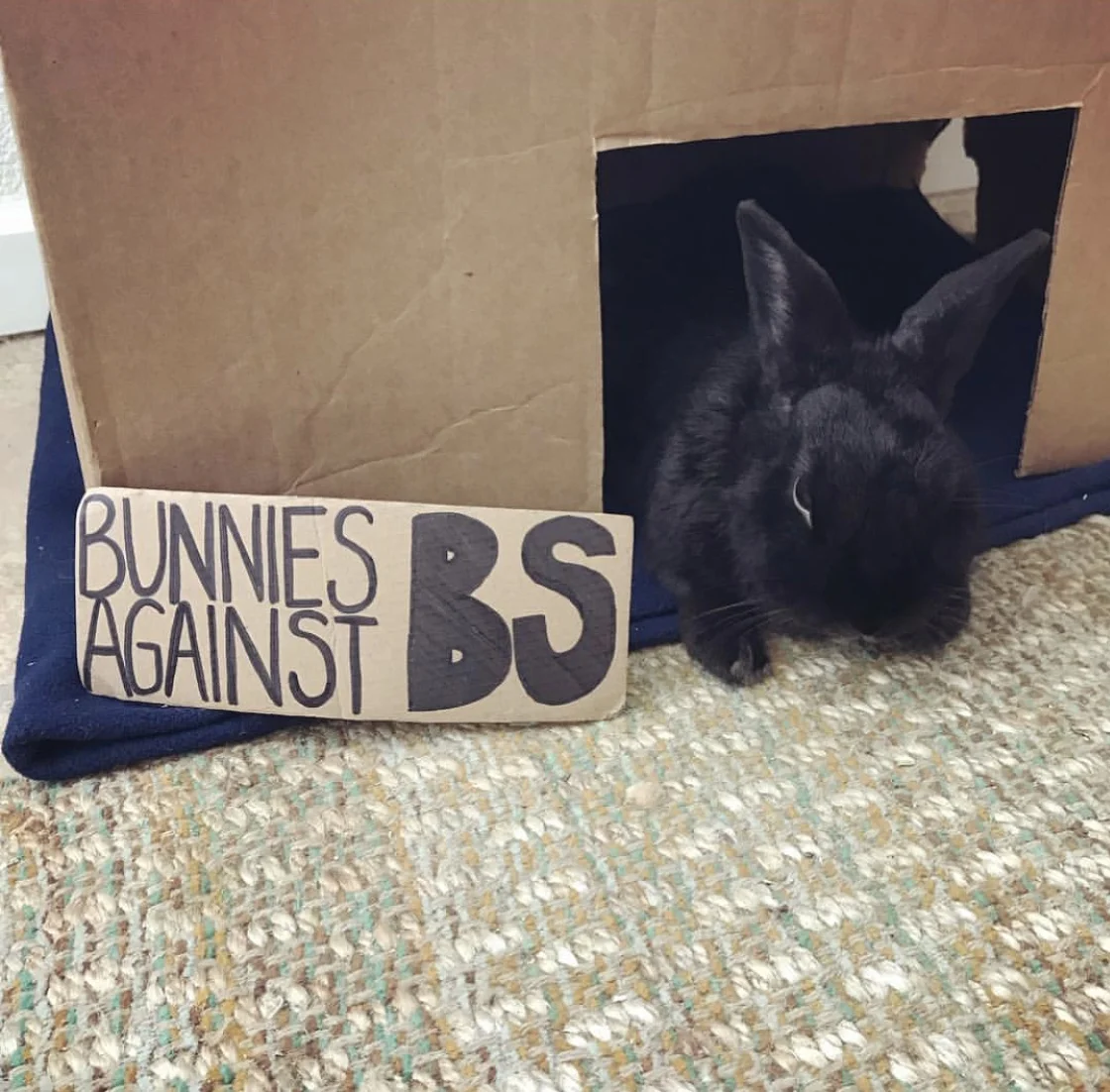 Klaus wants humans to use their voice for those who have none! 