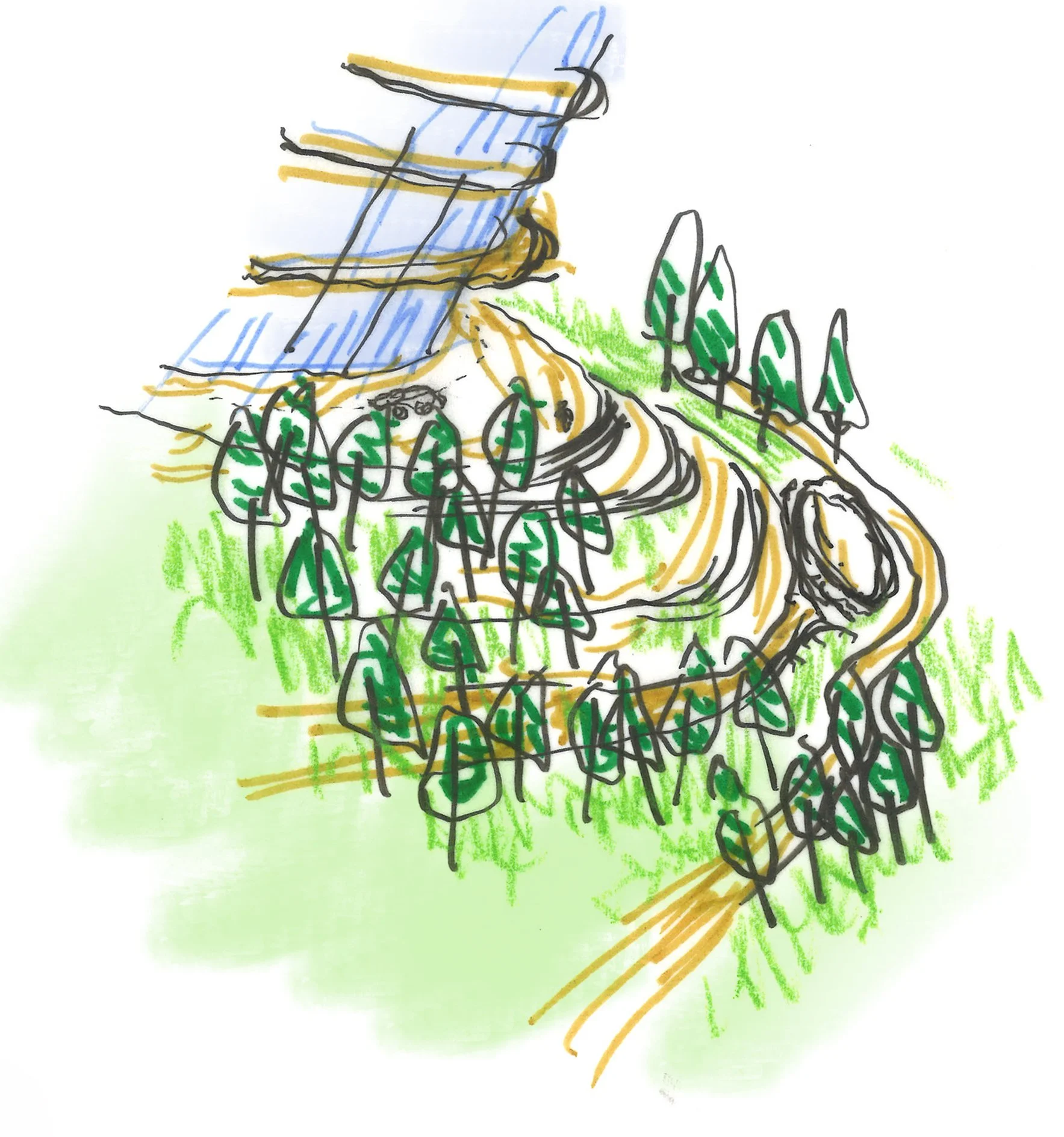 perm sketch.jpg