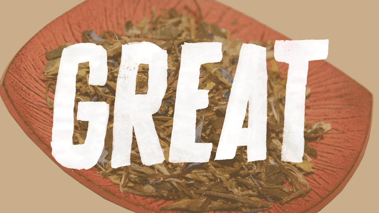 PRE-ROLL: Great Ideas Need Great Design