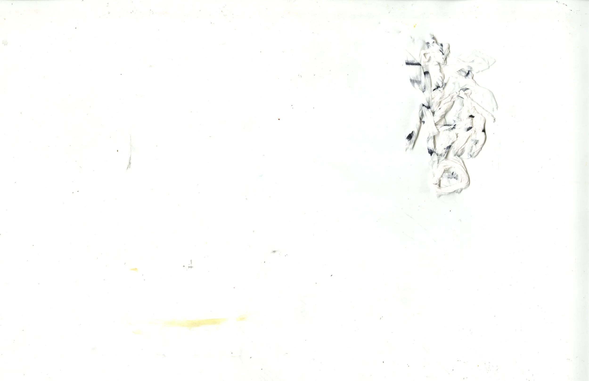 img004.jpg