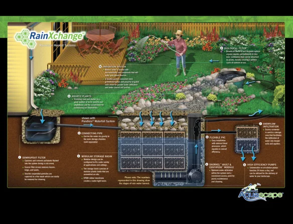 Rainwater Harvesting 101