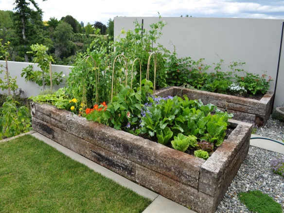 Fill in the Gaps with Edible Gardening